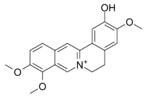 非洲防己碱