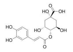 隐绿原酸（4-咖啡酰奎宁酸）