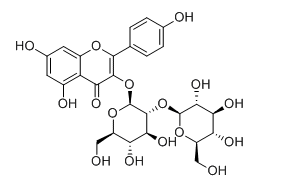 山奈酚-3-O-β-D-槐糖苷（槐角黄酮苷）
